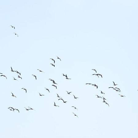 Отель Three Little Birds Тангалла Экстерьер фото